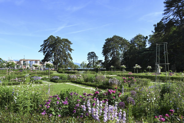 Le parc La Grange inaugure son jardin de roses