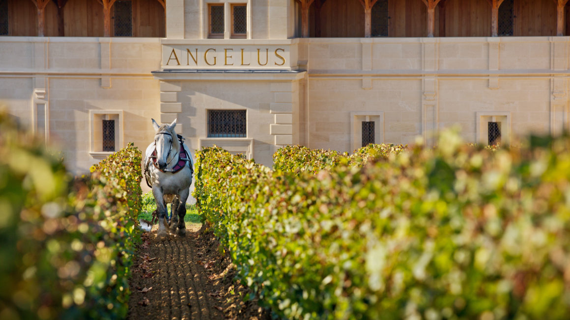 Gastronomie et Château Angelus au Lausanne Palace