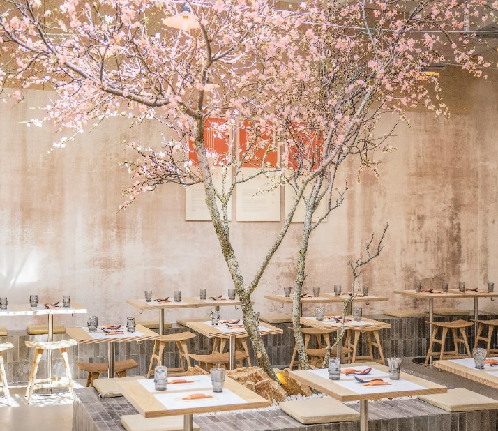 Naruto, la nouvelle adresse des nippophiles