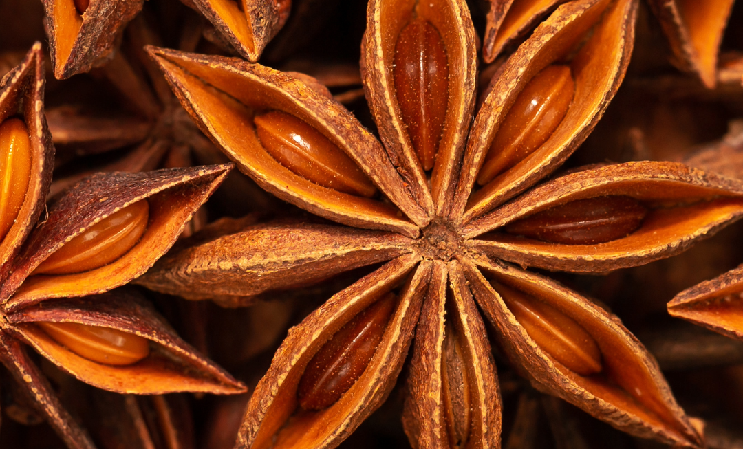 DAENA, créateur d’émotions olfactives