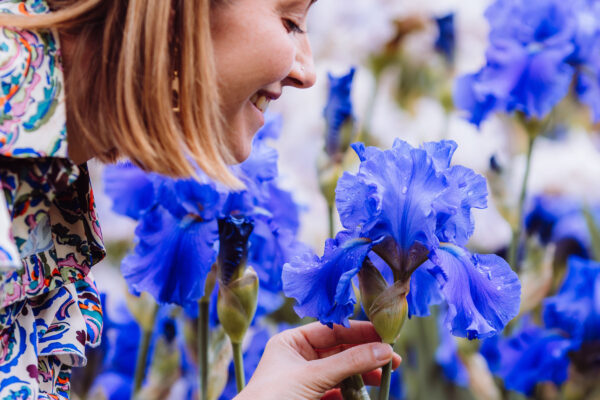 Un événement unique au royaume de l’iris