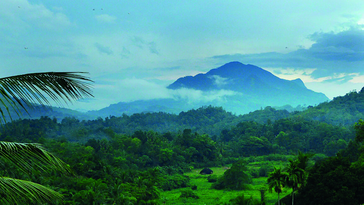 Haute joaillerie : l’or bleu du Sri Lanka