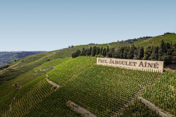 Wine Dinners à The Woodward Auberge : une symphonie de saveurs et de terroir 