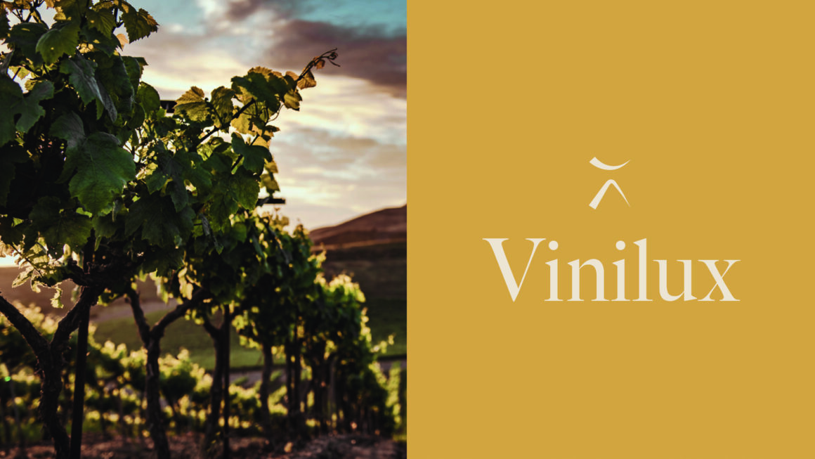 ViniLux: L’expérience du luxe réinventée