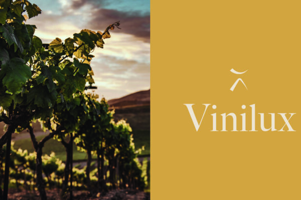 ViniLux: L’expérience du luxe réinventée