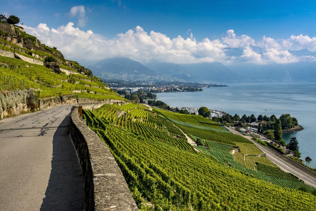 Photo by: Bernard Jaubert/UCG/Universal Images Group via Getty Images